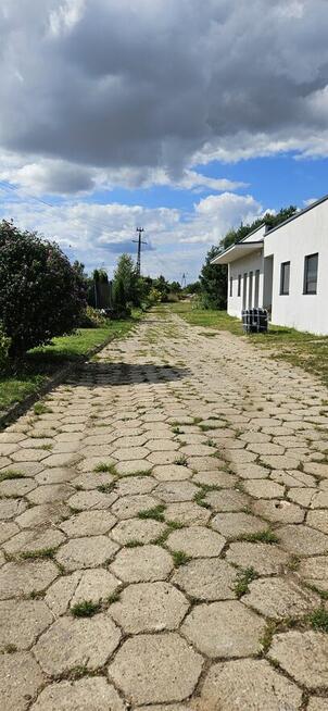 Gospodarstwo ferma dom 3,7ha 5000m²