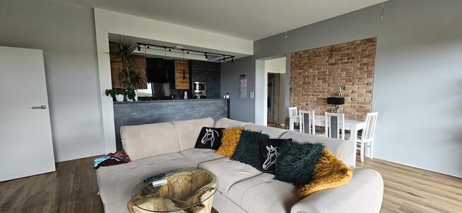 Gospodarstwo ferma dom 3,7ha 5000m²