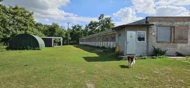 Gospodarstwo ferma dom 3,7ha 5000m²