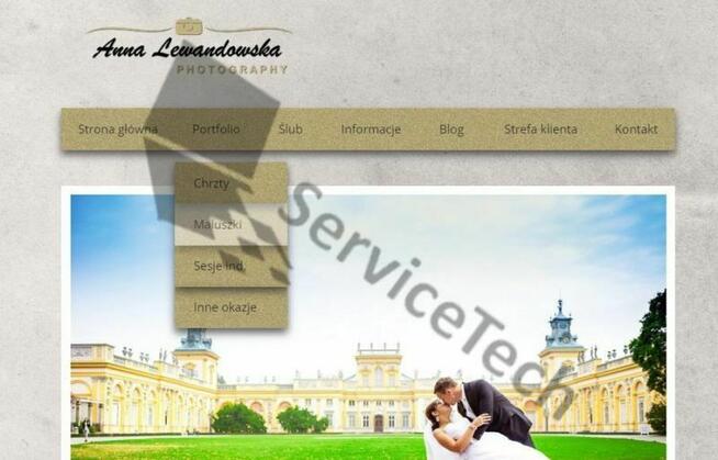 Strony internetowe, promocja cenowa na cały pakiet MAX już o