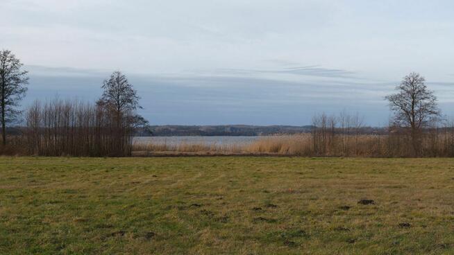 Kupin Zalewo, własna linia brzegowa jeziora Ewingi