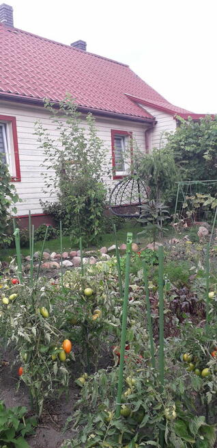 Sprzedam dom Studzianki