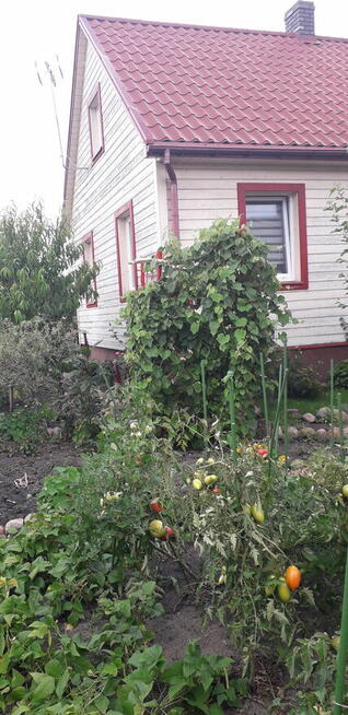 Sprzedam dom Studzianki