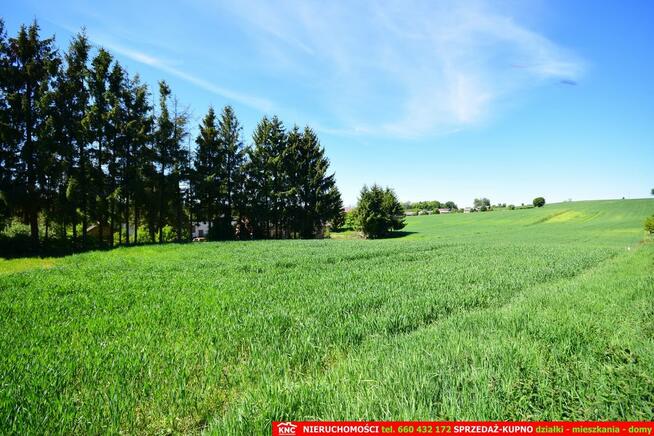 Dom/siedlisko na wsi 35 km od Lublina.