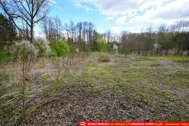 Działka dla inwestora w świetnej lokalizacji.