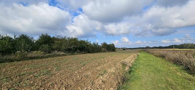 Działka, Motycz, 8.5ar, budownictwo jednorodzinne