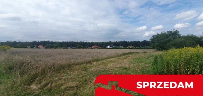 Piękna działka budowlana blisko lasu- 17ar-Świdnik