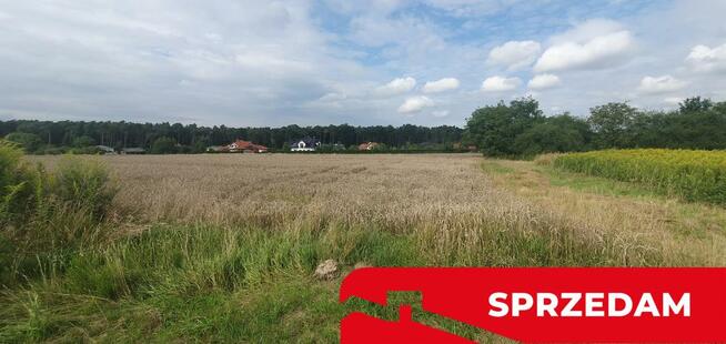 Piękna działka budowlana blisko lasu- 17ar-Świdnik