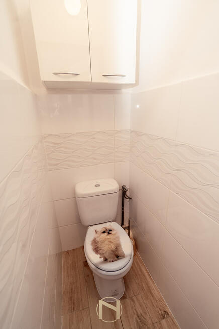 Mieszkanie Skwierzyna