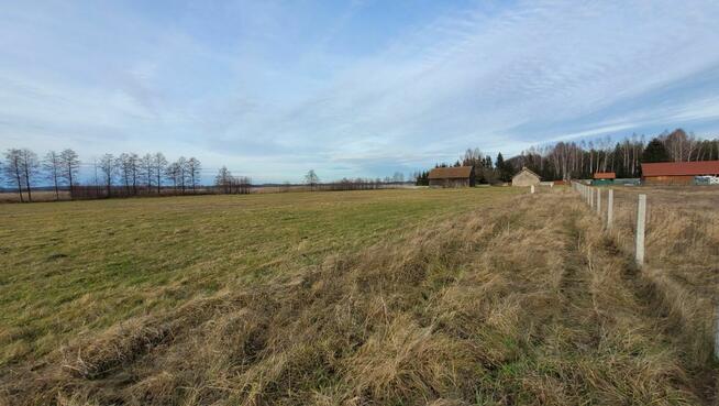 Kupin Zalewo, własna linia brzegowa jeziora Ewingi