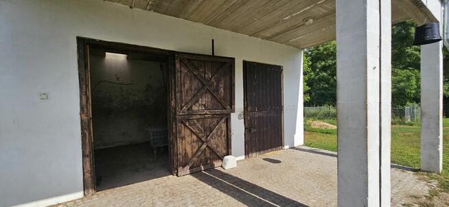 Gospodarstwo ferma dom 3,7ha 5000m²