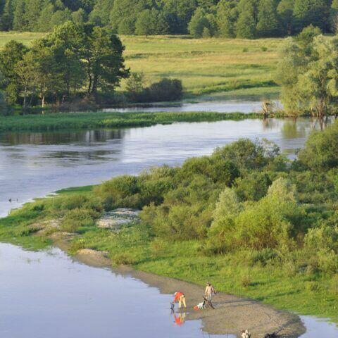 DZIAŁKA BUDOWLANA - NADBUŻAŃSKI PARK KRAJOBRAZOWY