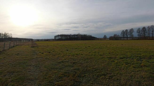 Kupin Zalewo, własna linia brzegowa jeziora Ewingi