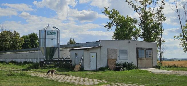 Gospodarstwo ferma dom 3,7ha 5000m²