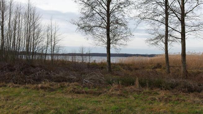 Kupin Zalewo, własna linia brzegowa jeziora Ewingi