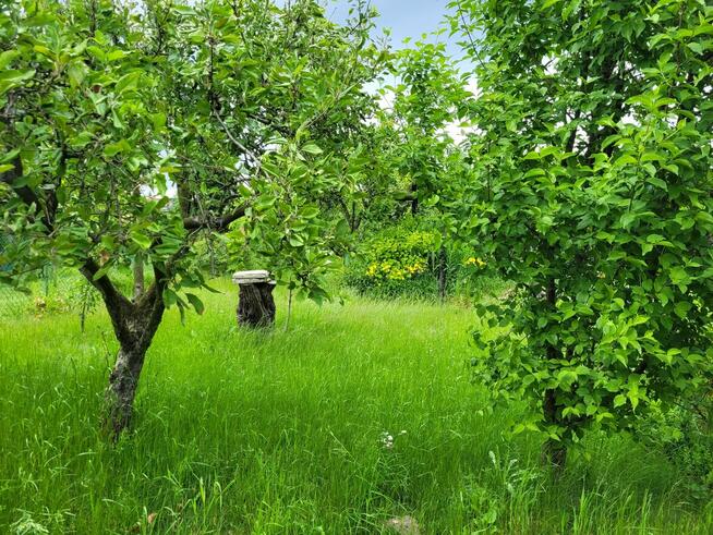 Ogrodnik, kompleksowo