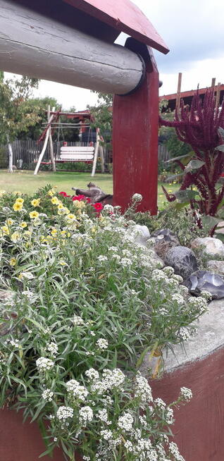 Sprzedam dom Studzianki