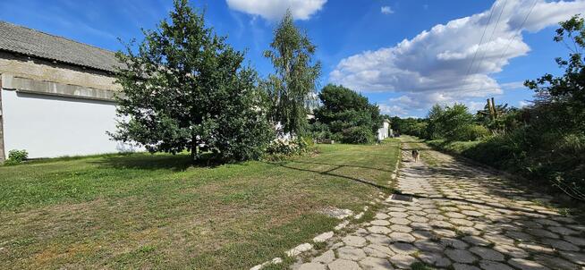 Gospodarstwo ferma dom 3,7ha 5000m²