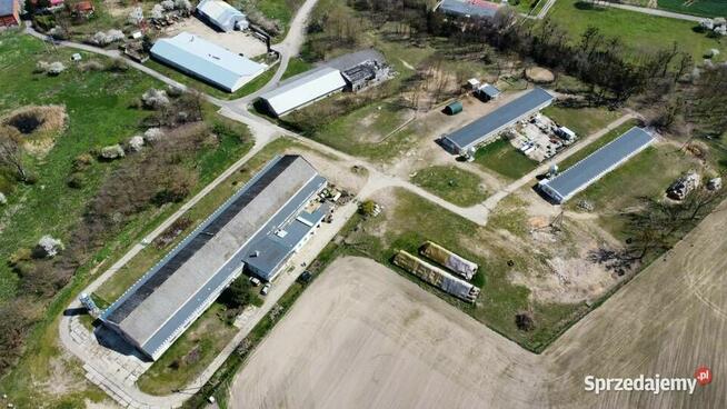 Gospodarstwo ferma dom 3,7ha 5000m²