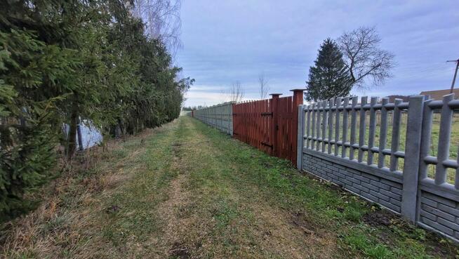 Kupin Zalewo, własna linia brzegowa jeziora Ewingi