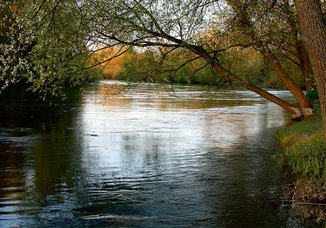 DZIAŁKA BUDOWLANA - NADBUŻAŃSKI PARK KRAJOBRAZOWY
