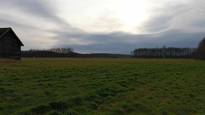 Kupin Zalewo, własna linia brzegowa jeziora Ewingi