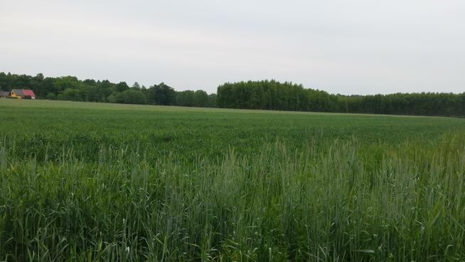 Działka rolno-budowlana Byków gm. Długołęka