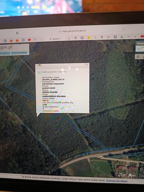 Las Sosnowy 14,62 ha