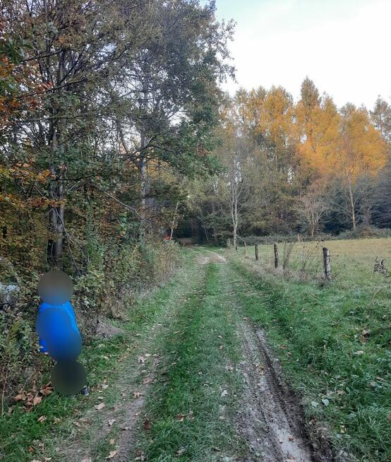 Pole, dzialka ,las, gmina Słonne obok Dubiecka