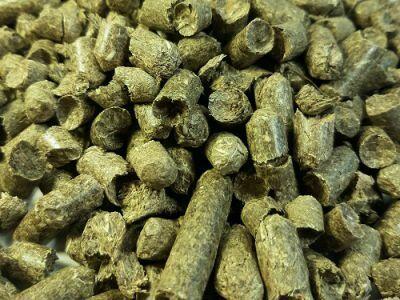 Poszukuję wspólnika, inwestora w branży OZE - biogaz.rol.