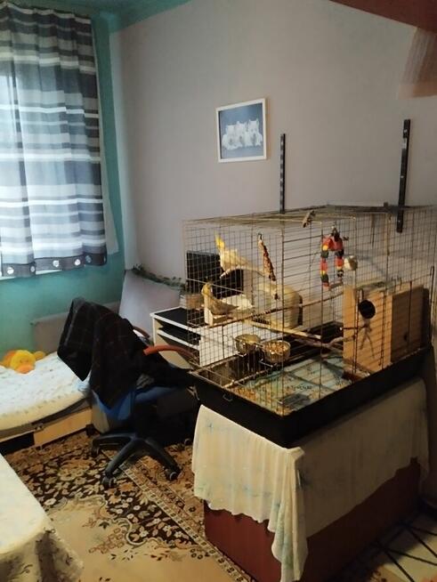 Zamienię mieszkanie z możliwością wykupu