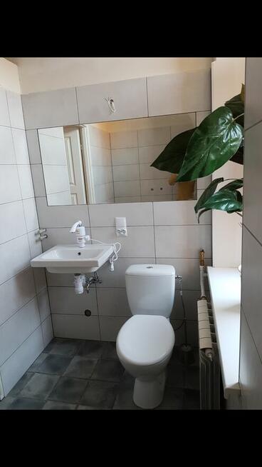 lokal do wynajecia 70 m2