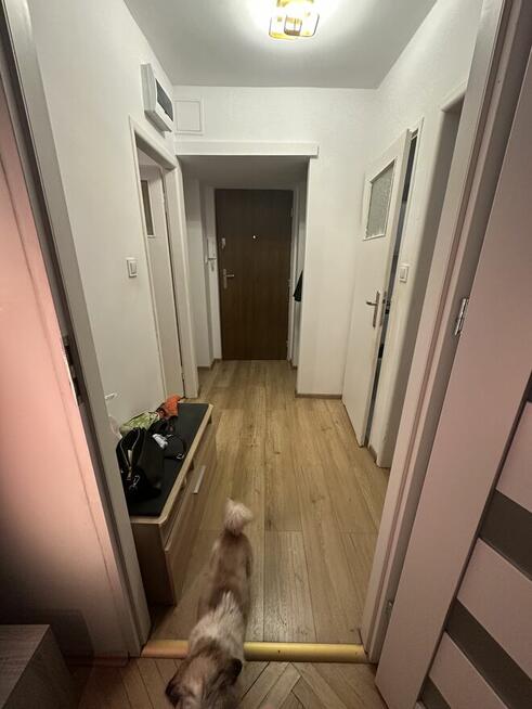 Wymiana mieszkania komunalnego – Moniuszki 10 (ścisłe centru