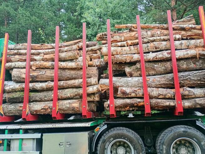 Drewno kominkowe, opałowe