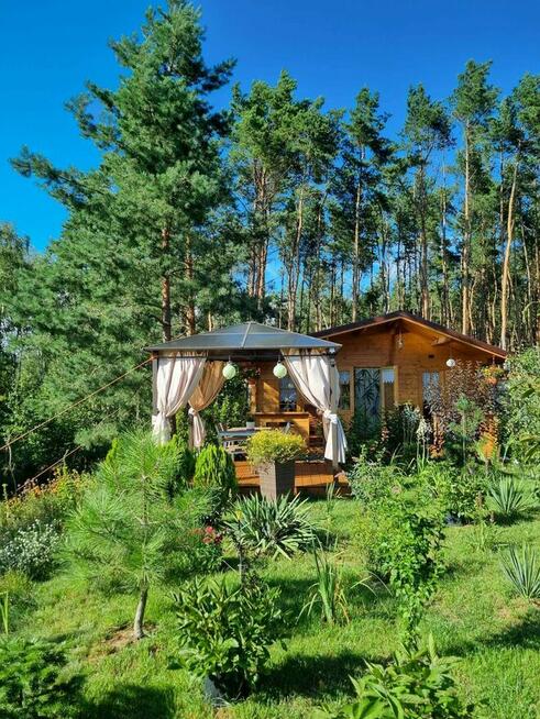 Działka nad jeziorem - Wiktorowo