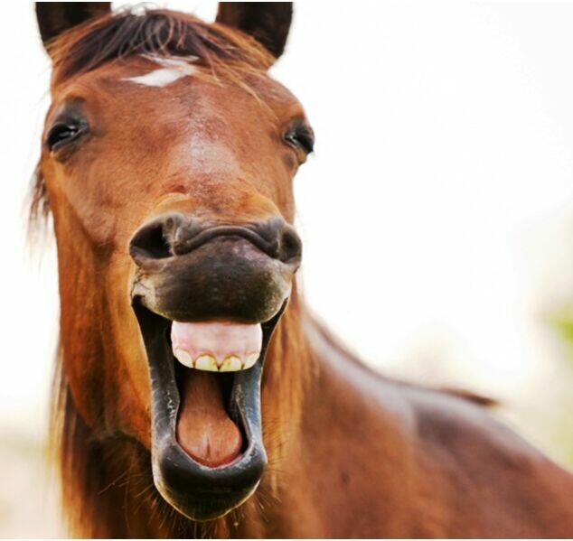 Inwestor , wspólnik