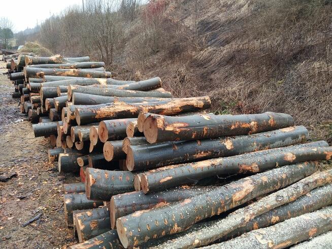 Drewno kominkowe, opałowe