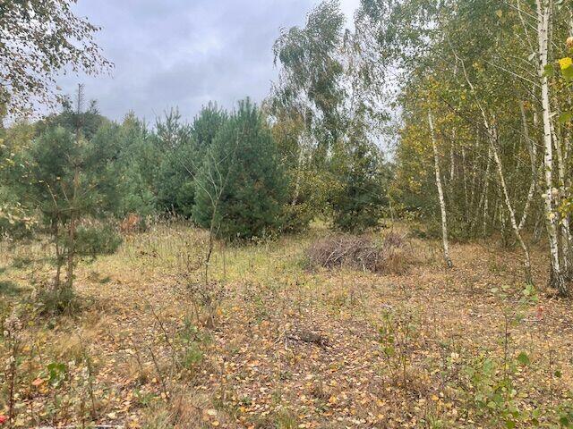 Atrakcyjne działki budowlane Barcice Drwalewskie, Chynów