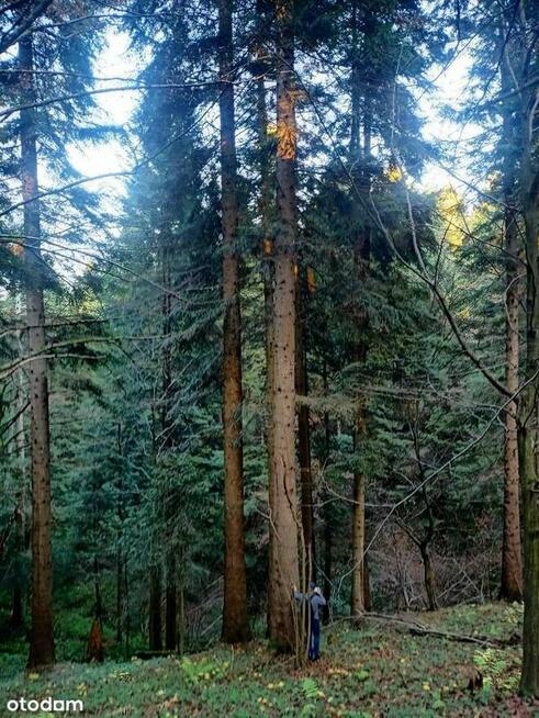 Działka 14655 m2 w sercu Bieszczad, piękne widoki