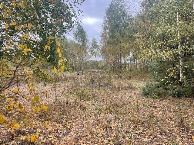 Atrakcyjne działki budowlane Barcice Drwalewskie, Chynów