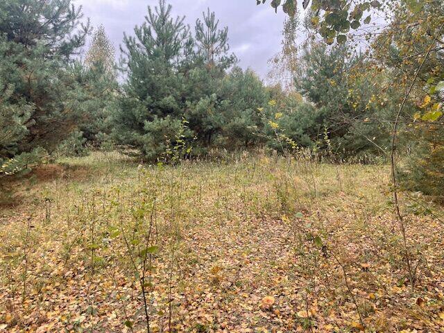 Atrakcyjne działki budowlane Barcice Drwalewskie, Chynów