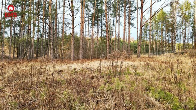 Działka rolno-budowlana Jurowce gm. Wasilków