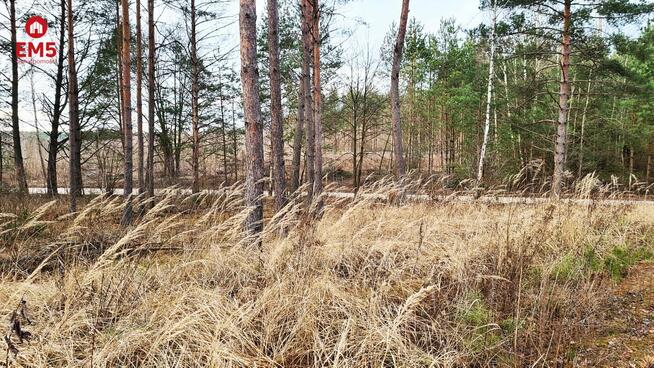 Działka rolno-budowlana Jurowce gm. Wasilków