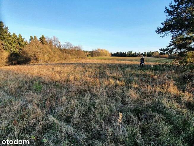 Działka 14655 m2 w sercu Bieszczad, piękne widoki