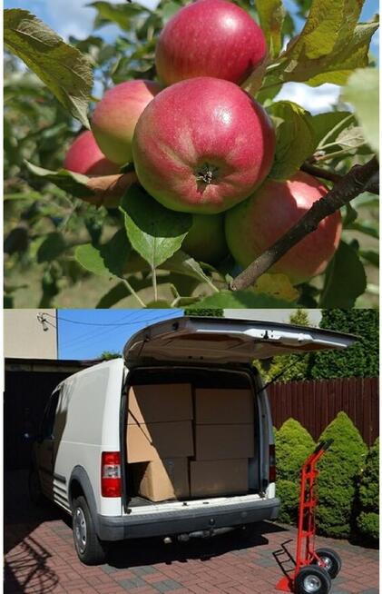 Odzież dla przemysłu spożywczego Włocławek i okolice