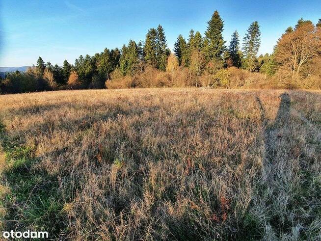 Działka 14655 m2 w sercu Bieszczad, piękne widoki