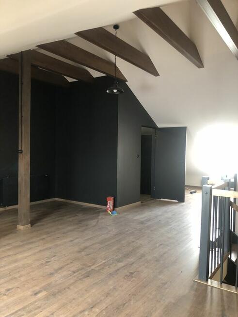 Oferuje Profesjonalne usługi Malowania Mieszkań Domów biur