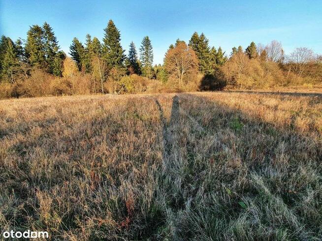 Działka 14655 m2 w sercu Bieszczad, piękne widoki
