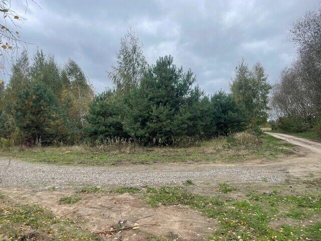 Atrakcyjne działki budowlane Barcice Drwalewskie, Chynów