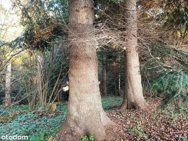 Działka 14655 m2 w sercu Bieszczad, piękne widoki